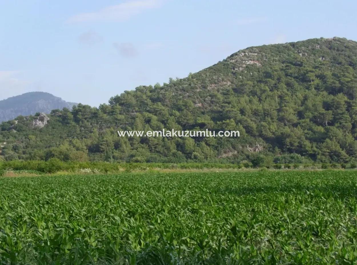 Bauernhof Zum Verkauf In Der Nähe Des Zentrums Von Dalyan,14, 612M2 Bauernhof Zum Verkauf