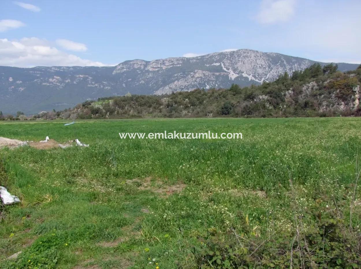 In Akyaka Zum Verkauf: Grundstück Zum Verkauf Bauernhof Zum Verkauf Einer Farm In Der Nähe Vom Meer, In Ars, Yatirimlik 21625M2