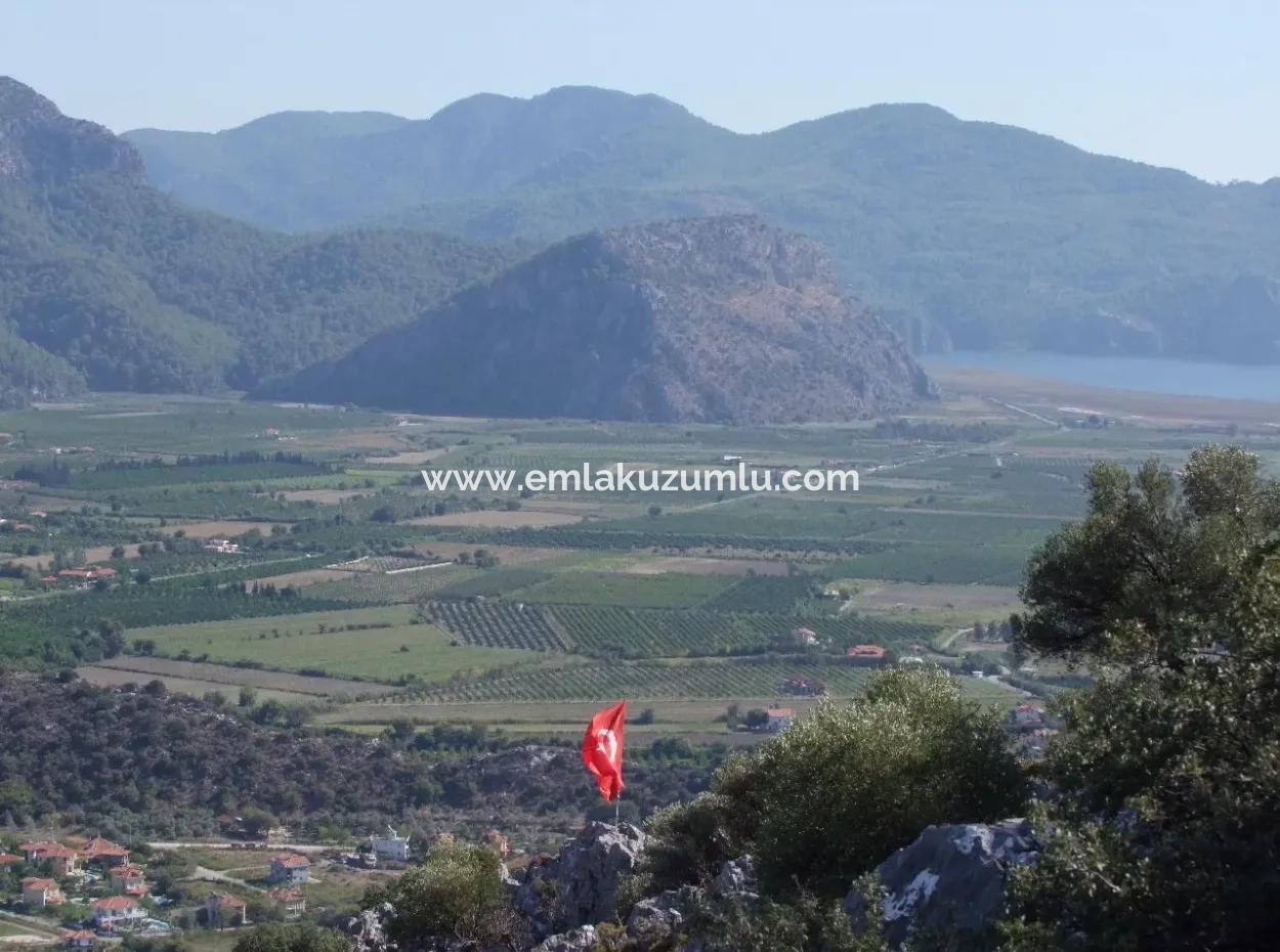 Maras In Dalyan Zum Verkauf In Dalyan 7300M2 %5 Grundstück Zum Verkauf