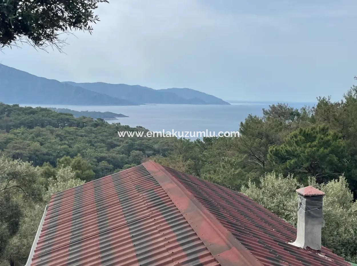 Olivenhaus Mit Meerblick In Ekincik Steht Zum Verkauf