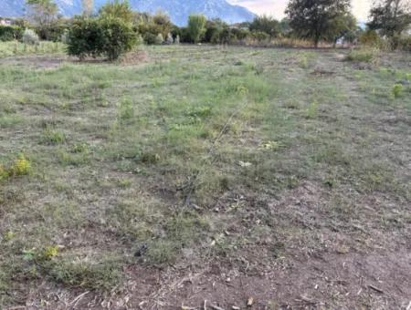 7.450M2 Land Zum Verkauf In Der Nähe Des Zentrums Von Dalyan