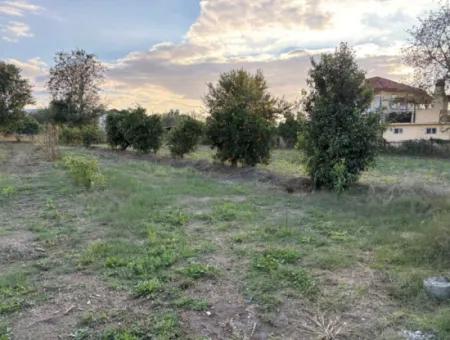 7.450M2 Land Zum Verkauf In Der Nähe Des Zentrums Von Dalyan