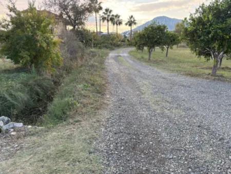 7.450M2 Land Zum Verkauf In Der Nähe Des Zentrums Von Dalyan