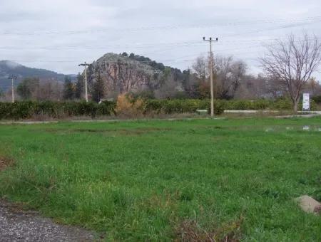 Gulpinar Dalyan Dalyan Zum Verkauf In 1002M2 Grundstück Für Verkauf Zum Verkauf Eckstein