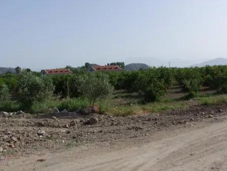 Merkez Dalyan Iztuzu See-Garten-Villa Zum Verkauf