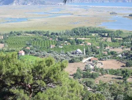 Grundstück Zum Verkauf In Çandır Meerblick 6265 M2 Grundstück Zum Verkauf