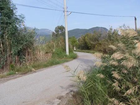 Grundstück Zum Verkauf In Dalyan Zum Verkauf In Dalyan-Kanal Null