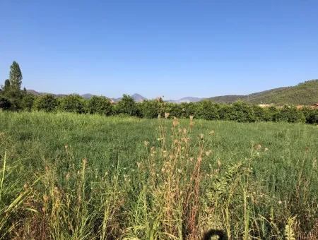 Land Zum Verkauf Im Zentrum 891M2 Land Zu Verkaufen