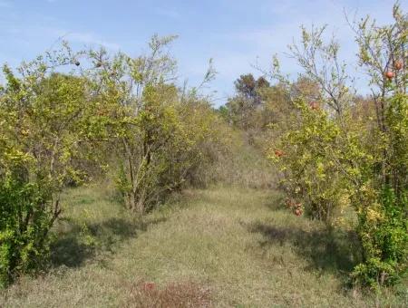 Güzelyurt Land Zu Verkaufen Dorf Gebaut 6670M2 Land Zum Verkauf