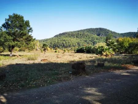 Land Zum Verkauf In 'Aml'da Marmaris 'Aml'da Meerblick 11720M2 Land Zu Verkaufen