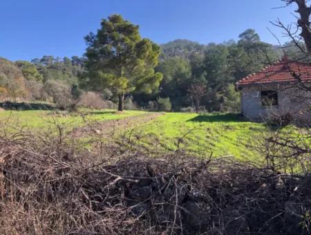 Gokbel Land Zu Verkaufen 8000M2 Land Zum Verkauf Mit Voller Meerblick