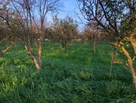 Bogenschützen Grundstück Zu Verkaufen 4707M2 Land Zu Verkaufen