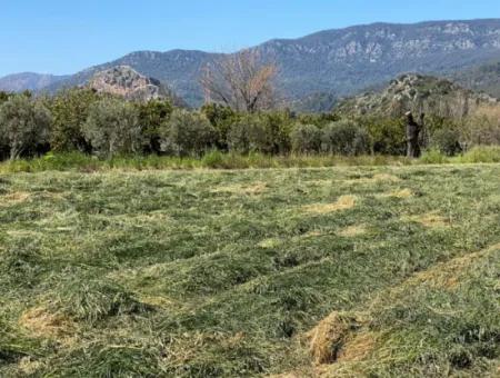 3700M2 Grundstück Zu Verkaufen In Dalyan