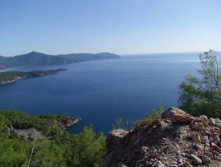 Immobilien-Schnäppchen-Grundstück Zu Verkaufen Mit Meerblick In Çandır Anruf In Ekincik