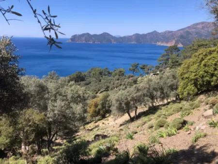 Grundstück Zum Verkauf Mit Meerblick In Çandir