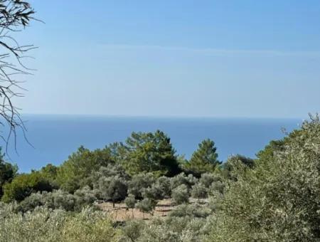 Feldgrundstück Zum Verkauf Mit Meerblick Von Çandir