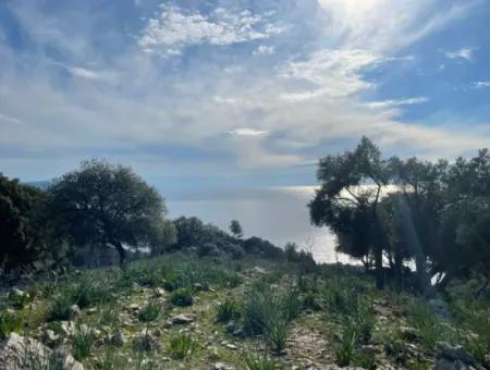 8.900M2 Feld Zum Verkauf Mit Vollem Meerblick In Ekincik