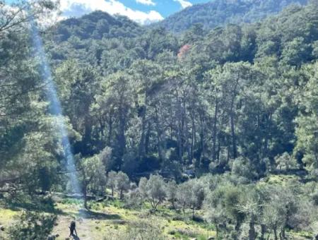 4000M2 Feld Zum Verkauf Mit Seeblick In Çandir