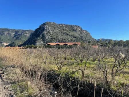 Dalyan Iztuzu Road Zero 5216M2 Feldgrundstück Zum Verkauf