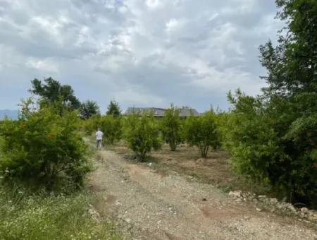 2.528M2 Feld Zum Verkauf In Der Nähe Des Zentrums Von Dalyan