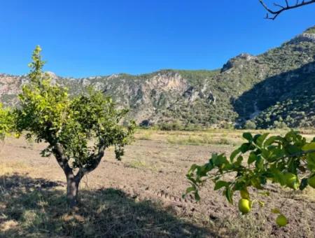 Grundstück Zum Verkauf In Dalyan In Der Nähe Des Zentrums Von 6600M2