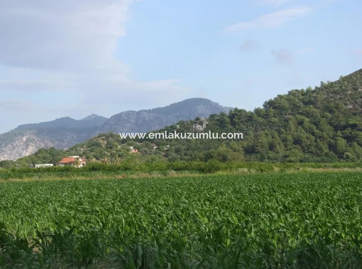 Farm For Sale Near The Centre Of Dalyan,14, 612M2 Farm For Sale