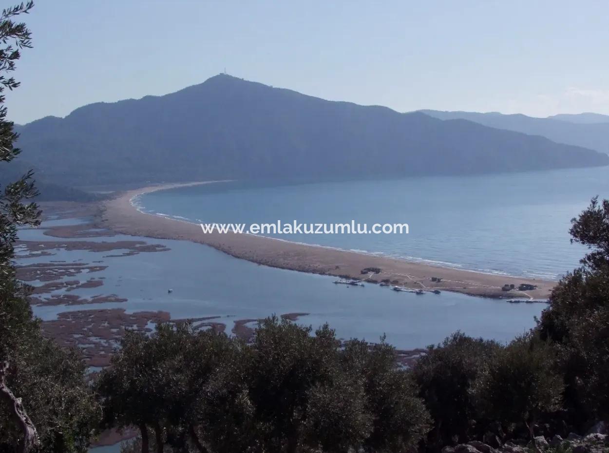 Çandır 5367M2 Farm Land For Sale Sea Views