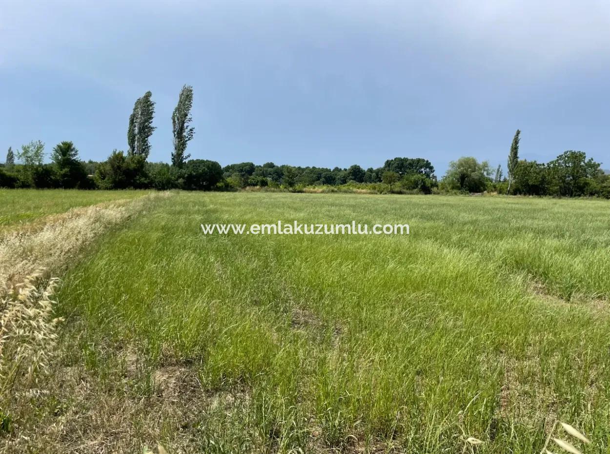 4595M2  Land For Sale In Okçular Marmarlı