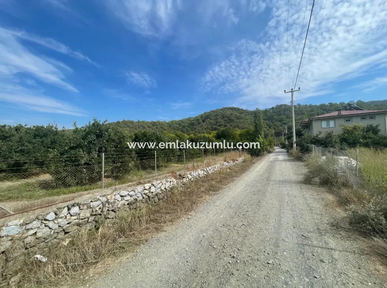 4000M2 Land For Sale Zoned In Village Built-Up Area In Tepearasin