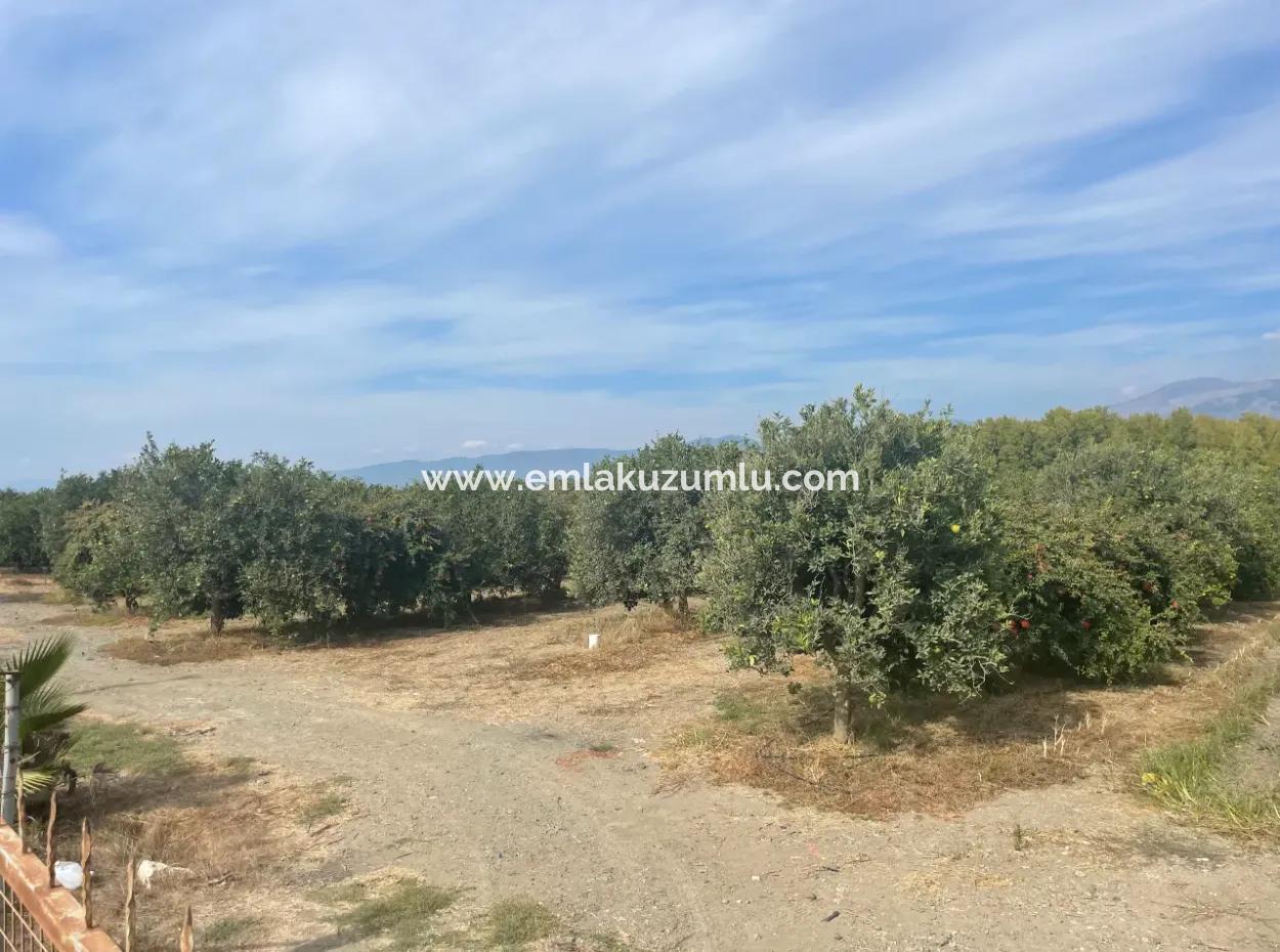 4000M2 Land For Sale Zoned In Village Built-Up Area In Tepearasin