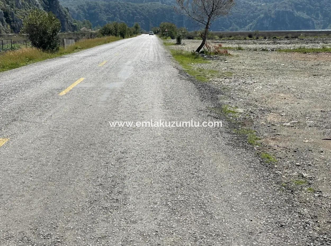 Dalyan Iztuzu Beach Road Zero 19,600M2 Field Land For Sale