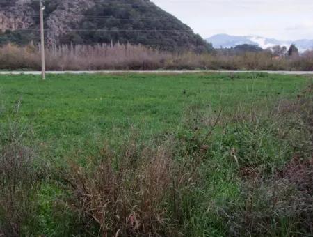 Gulpinar Dalyan Dalyan For Sale In 1002M2 Plot For Sale For Sale Cornerstone