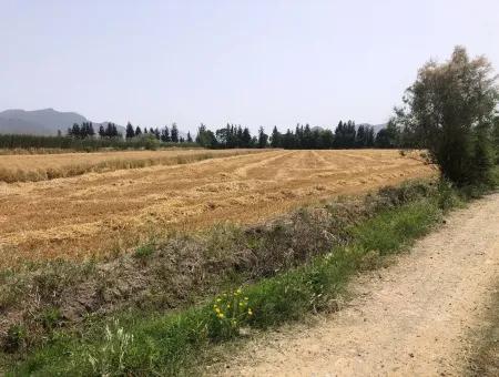 Farm Land For Sale 39 Acres In Eskikoy