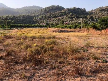 2300M2 Land For Sale Near The Center Of The Land For Sale