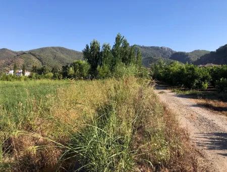 Land For Sale In The Center 891M2 Land For Sale