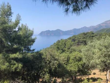 7034M2 Field For Sale With Sea View In Çandir