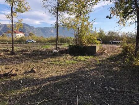 Land For Sale In Dalyan 2540M2