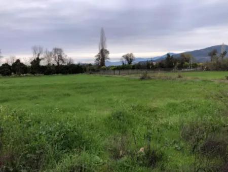 540M2 Land For Sale In Okçular