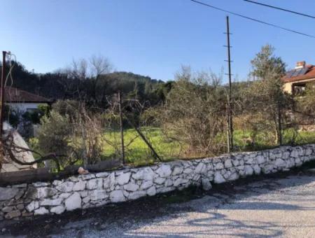 777M2 Land For Sale In Ula Sarayyanı