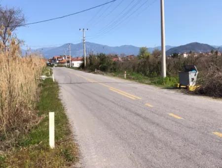 5500M2 Land For Sale In Dalyan