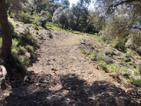 Land For Sale With Sea View In Çandir