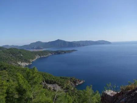 Real Estate Bargain Plot For Sale With Sea Views In Çandır Call In Ekincik