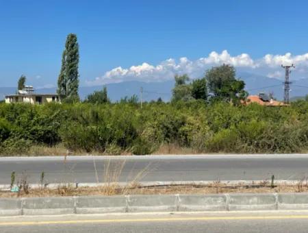 Dalyan Main Road Zero Land For Sale 8115M2 Commercial Land For Sale