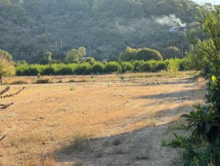 2000M2 Land For Sale In The Built-Up Area Of Çandir Village