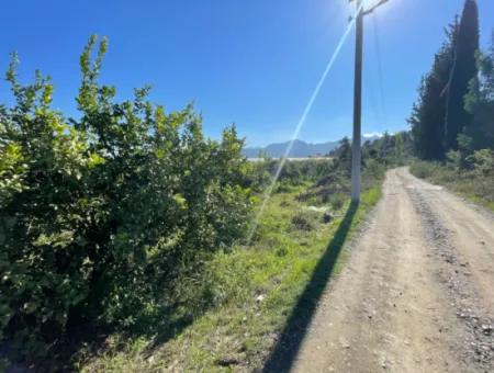 2223M2 Fields For Sale In Dalyan