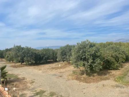 4000M2 Land For Sale Zoned In Village Built-Up Area In Tepearasin