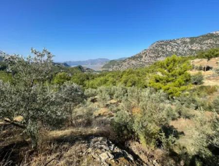 Gökbelde Full Sea View 3514M2 Land For Sale