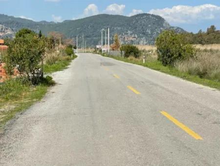 Dalyan Iztuzu Beach Road Zero 19,600M2 Field Land For Sale