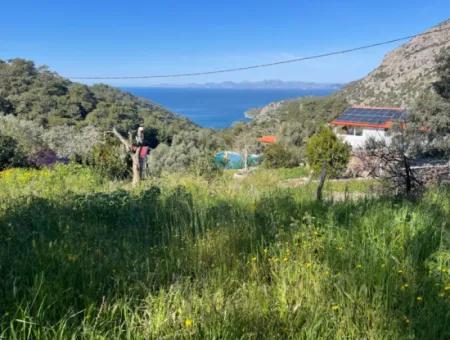 Village House For Sale In 4,400M2 Land With Full Sea View In Gökbel