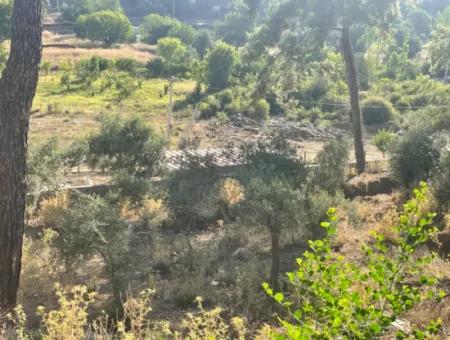 1,320M2 Field For Sale In Çandır Center By The Forest